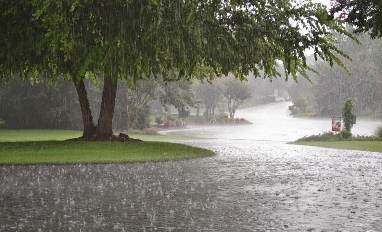 Καιρός: Με ισχυρές βροχές το Σάββατο στα Τρίκαλα 